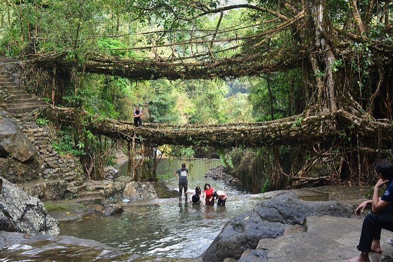 Double-decker living root bridge in Nongriat, Meghalaya