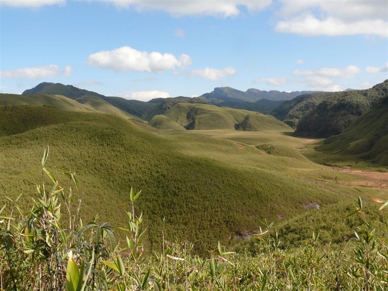 Panoramic view of Dzukou Valley with rolling green hills on the Nagaland-Manipur border