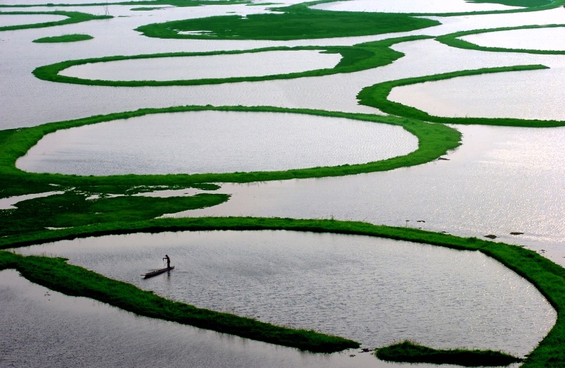 Floating phumdis (vegetation islands) on Loktak Lake in Manipur — the largest freshwater lake in Northeast India