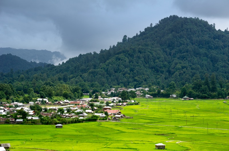 Panoramic view of Ziro Valley with rice paddies and pine-covered hills in Arunachal Pradesh